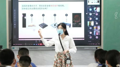 A Vision-Driven Strategy for Smart Education