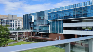 Shenzhen's Comprehensive Advantages in the Integrated Circuit Industry Chain