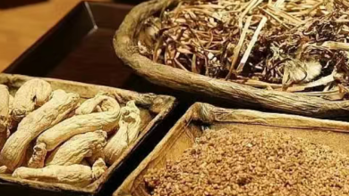 What’s the Best Way to Treat Keloid Scars Naturally? A Deep Dive into Chinese Herbal Solutions