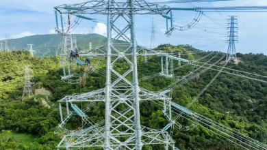 Shenzhen Power Grid Hits Record-High Electricity Load Amid Heatwave