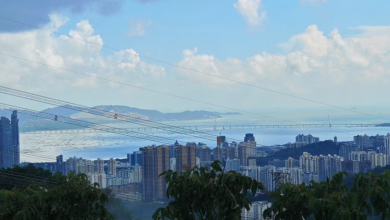 Shenzhen Launches Global Digital Intelligence Talent Development Innovation Base, Aiming to Cultivate Over 200,000 ICT Professionals in 5 Years